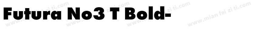 Futura No3 T Bold字体转换